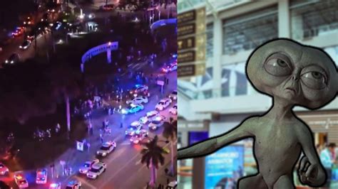 miami mall alien|what happened miami mall.